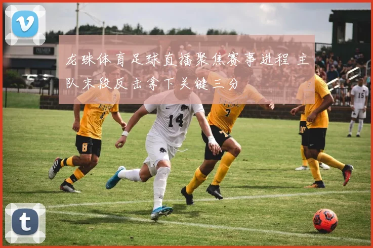 龙珠体育足球直播聚焦赛事进程 主队末段反击拿下关键三分