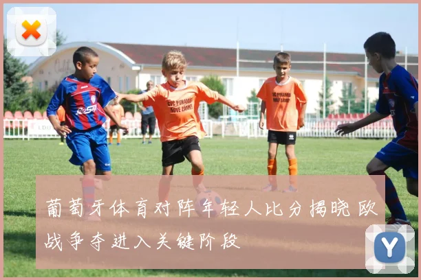 葡萄牙体育对阵年轻人比分揭晓 欧战争夺进入关键阶段