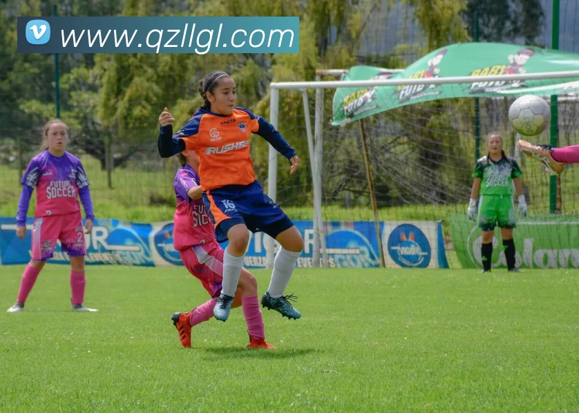 九游官方官网服务体系